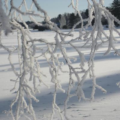 Kuvia luonnonkauniista merenrantatilasta