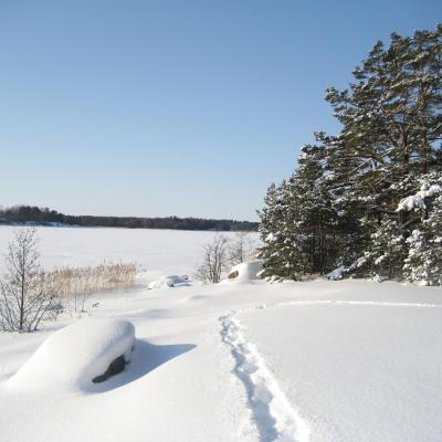 Kuvia luonnonkauniista merenrantatilasta